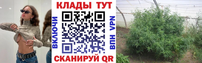 Наркошоп купить Кокаин  Амфетамин  Гашиш  СК  Конопля  Мефедрон  Курганинск