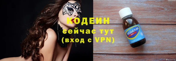 шишки Заволжье