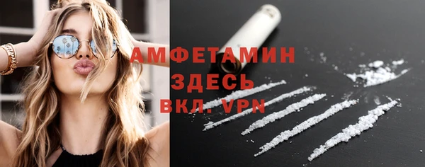 шишки Заволжье