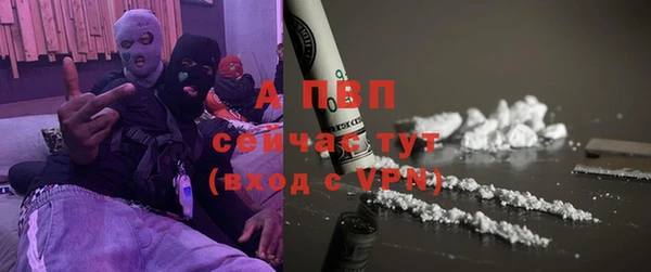 шишки Заволжье