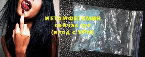 шишки Заволжье