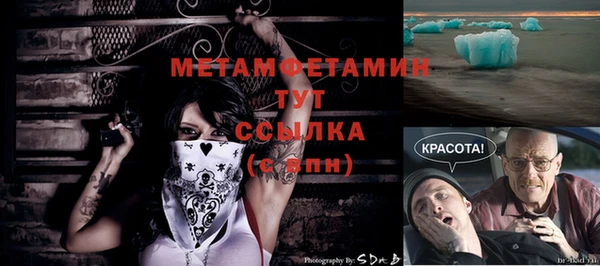 шишки Заволжье